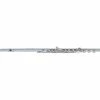 Best Pirce ✨ Pearl Flutes Pearl Flutes Quantz 765 Series Professional Flute 765RBE1RB - B Foot, Offset G With Split E ⭐