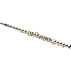 Buy 🧨 Jupiter Jupiter JFL710ROA Student Flute Open Hole 👍